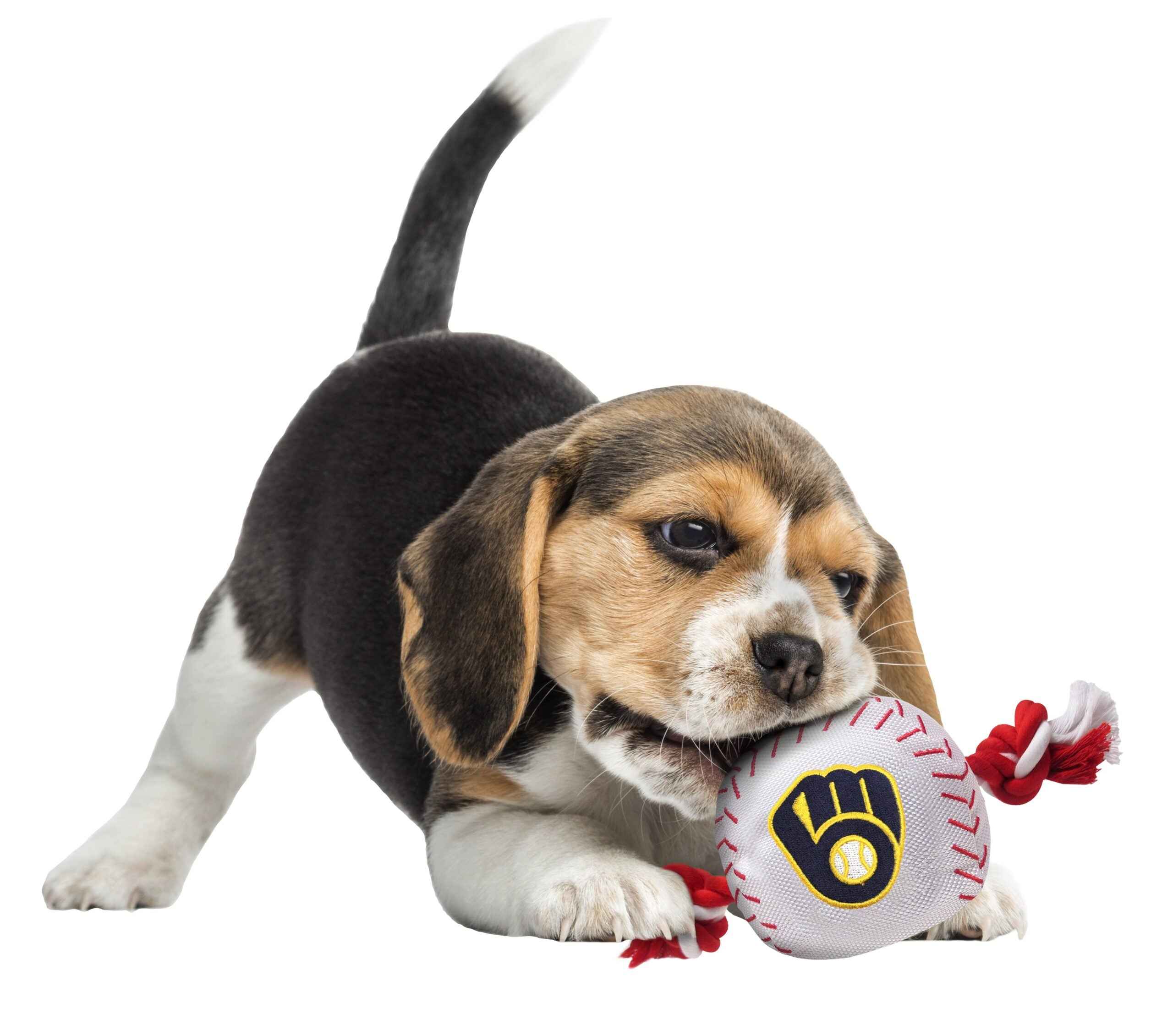 Milwaukee Brewers Nylon Baseball Rope Toy
