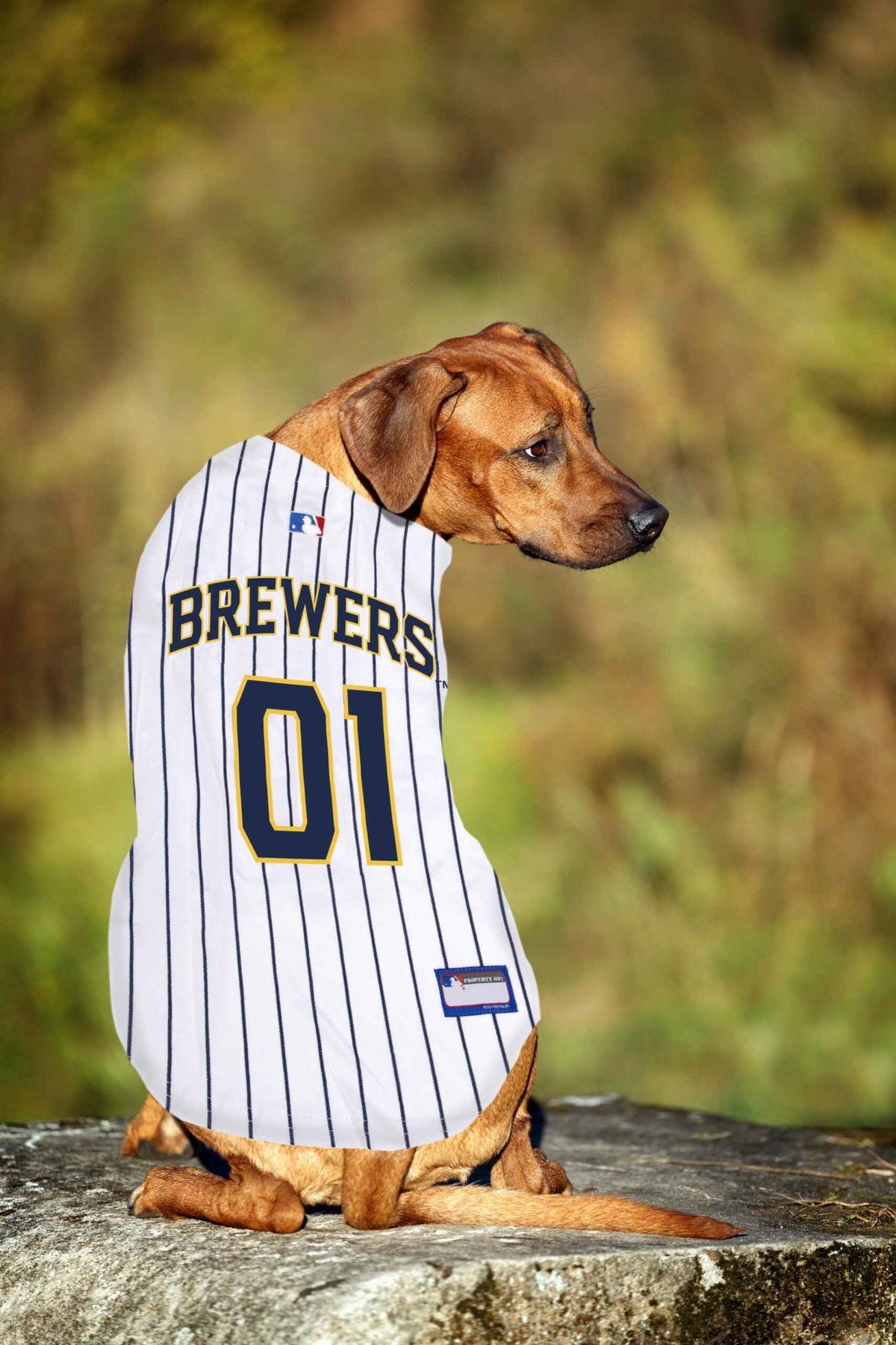 MLB Milwaukee Brewers Mesh Pet Jersey