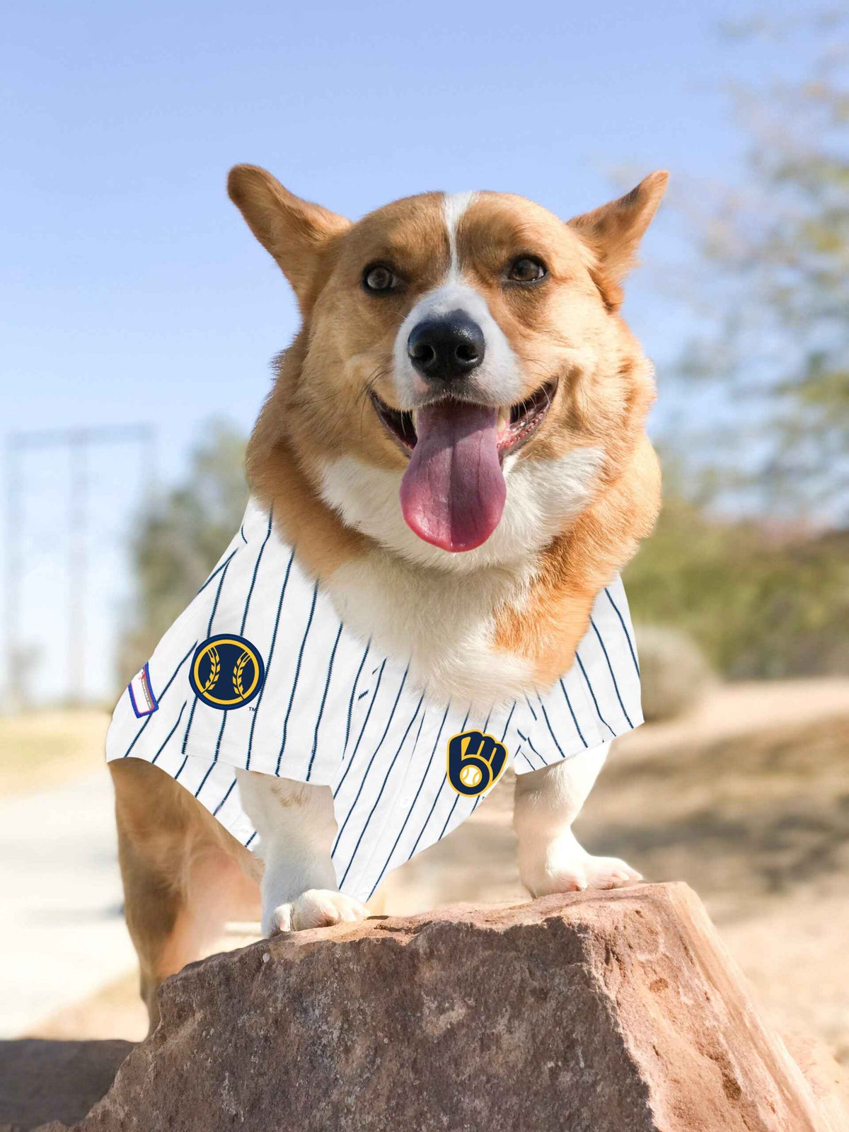 MLB Milwaukee Brewers Mesh Pet Jersey