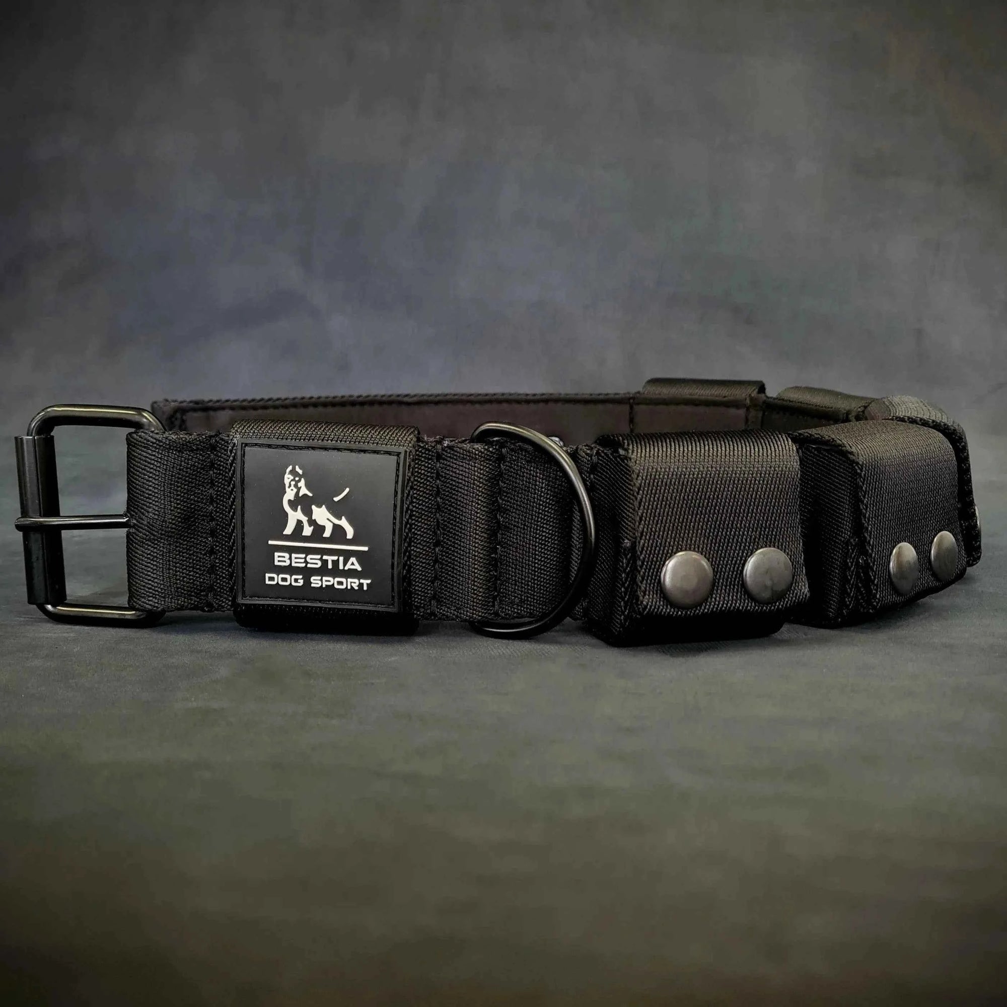Bestia Weighted Training 5 lb Removable Weights Large Breed Dog Collar
