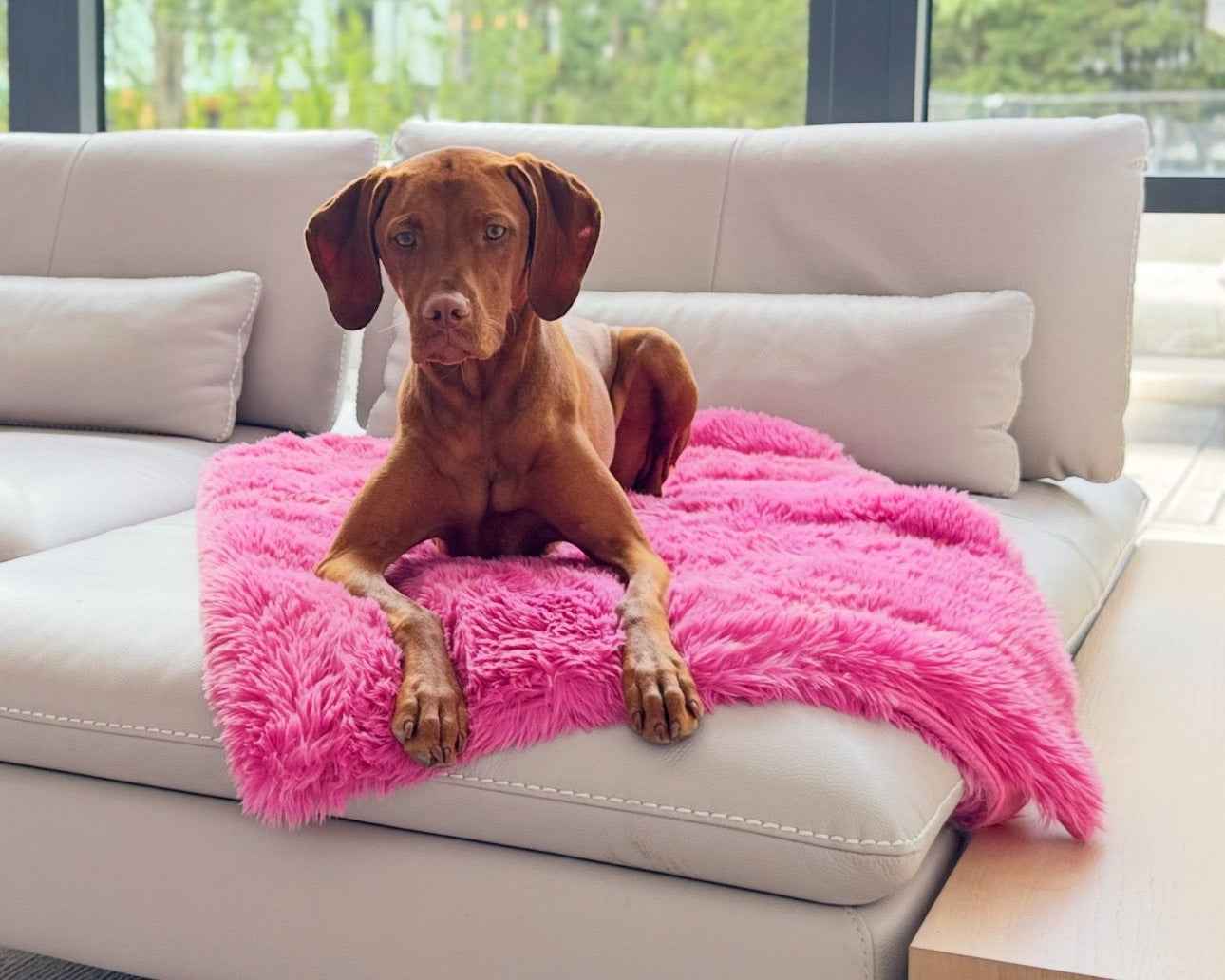 Bowsers Dog Furniture Cover Blanket Topper Dog Furniture Cover - Washable Couch and Furniture Protection