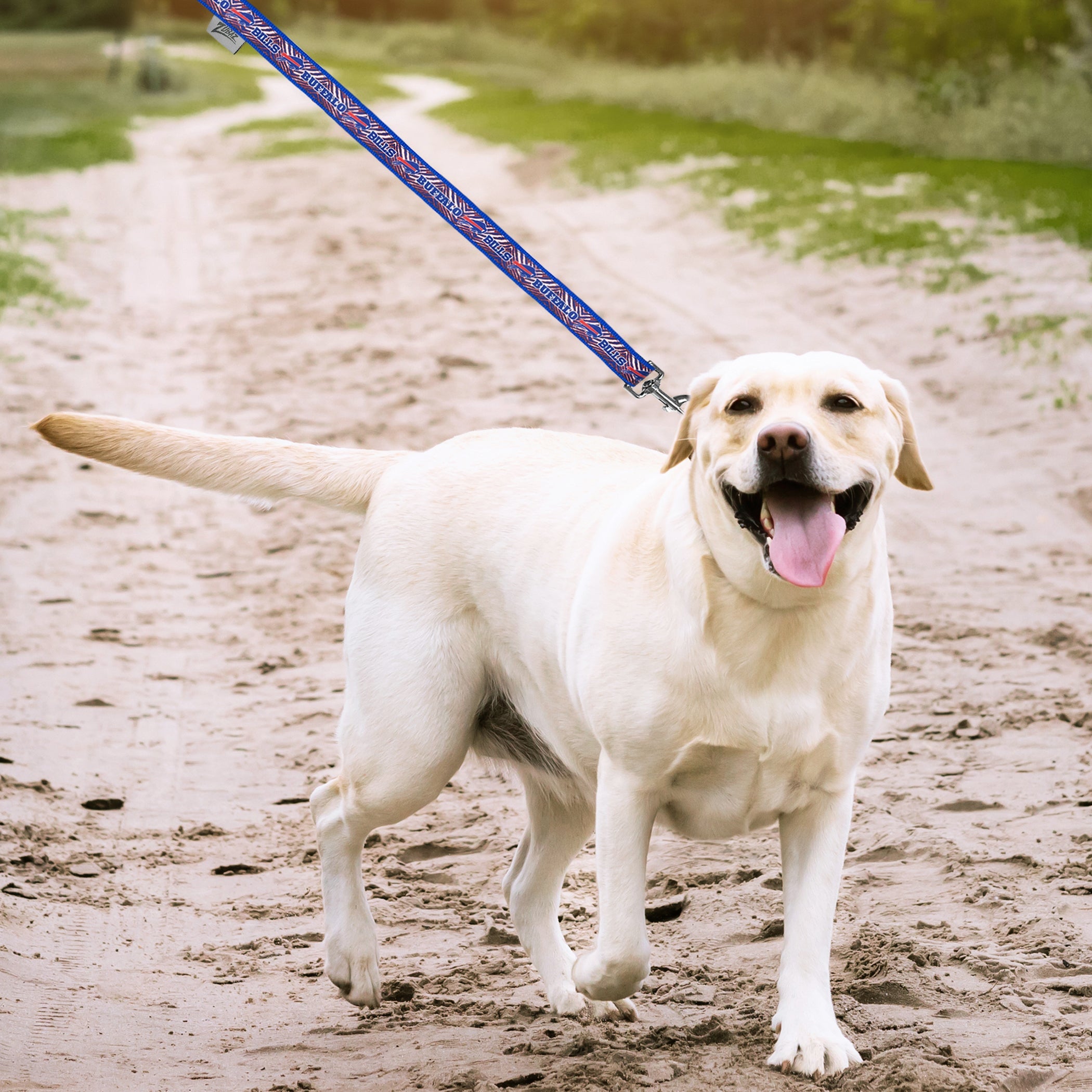 Buffalo Bills Zubaz Leash