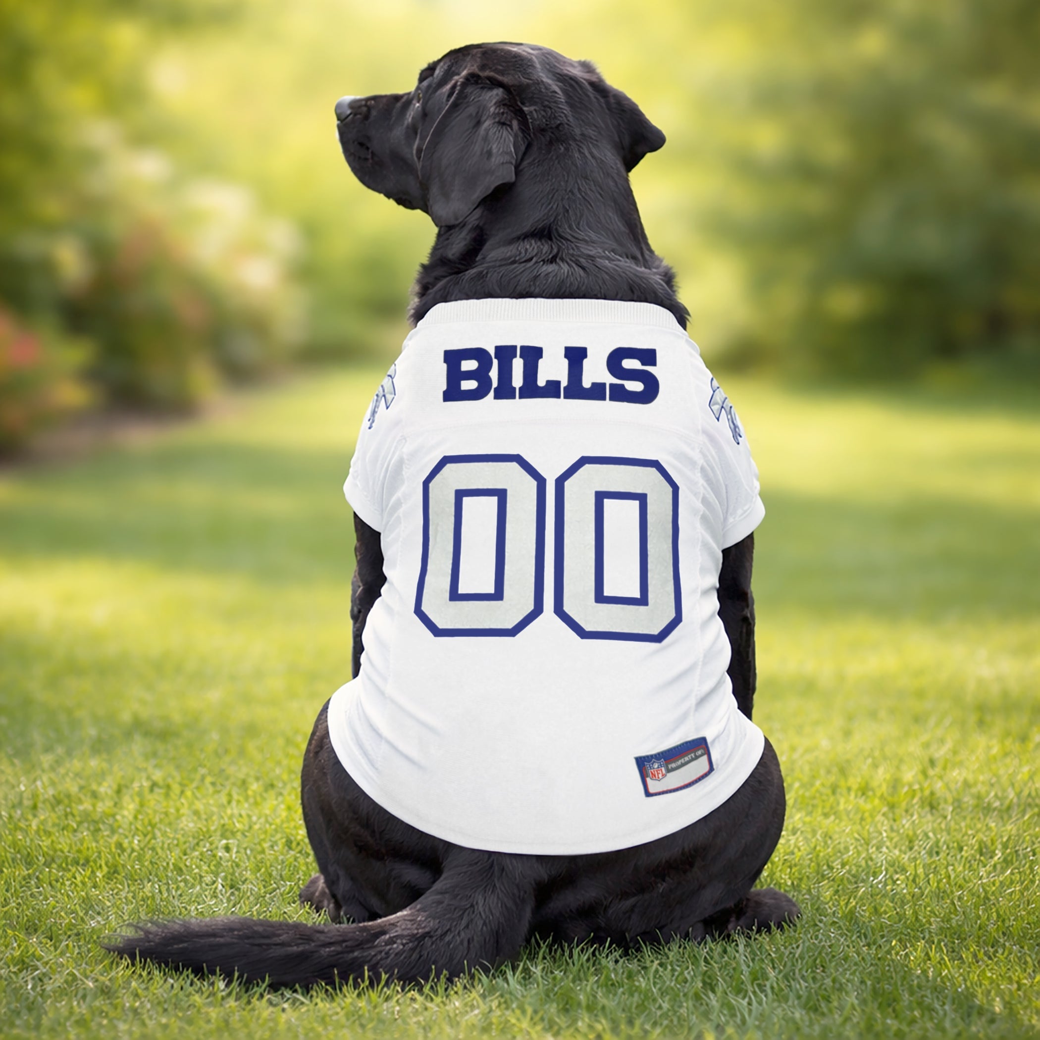 Buffalo Bills Rivalry Pet Jersey