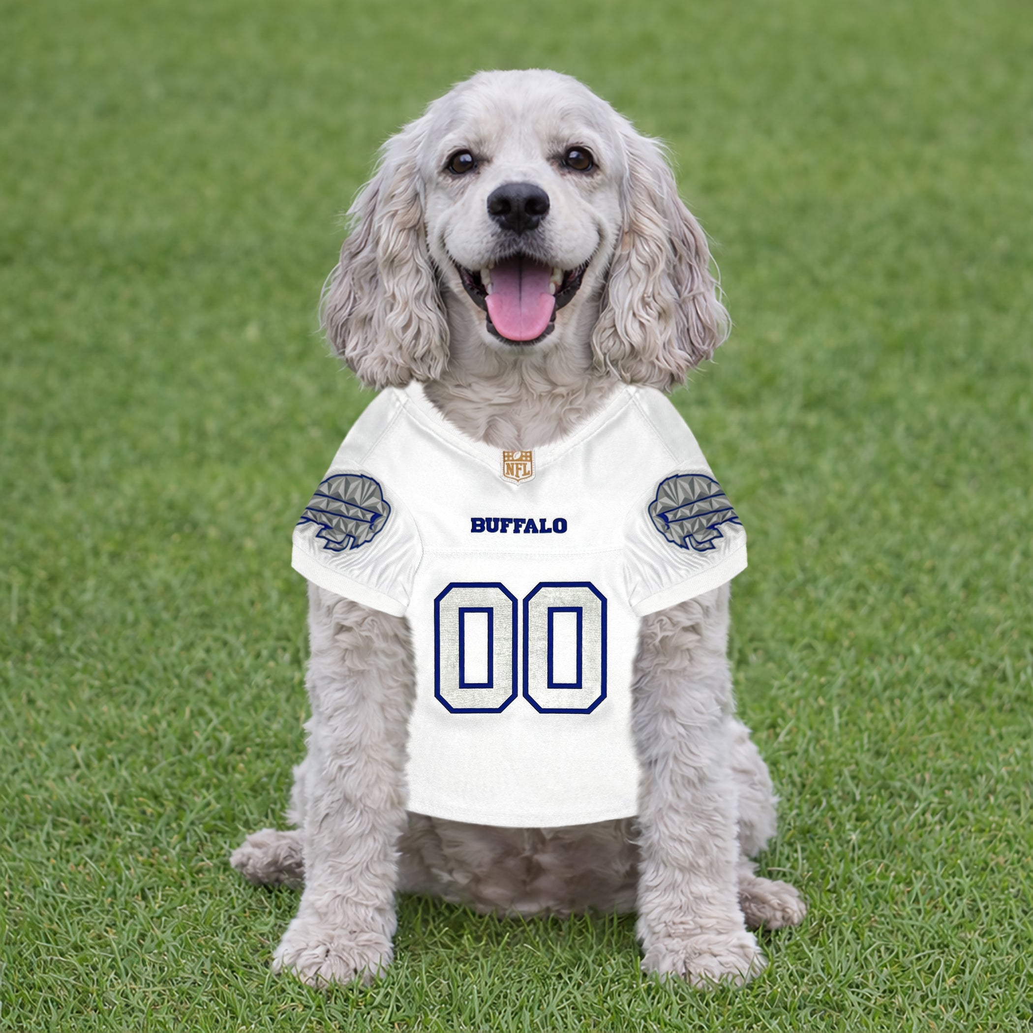 Buffalo Bills Rivalry Pet Jersey