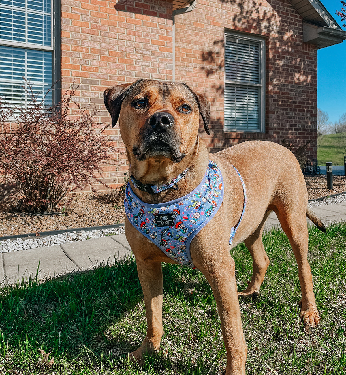 Dog Collar - Nickelodeon Rugrats™