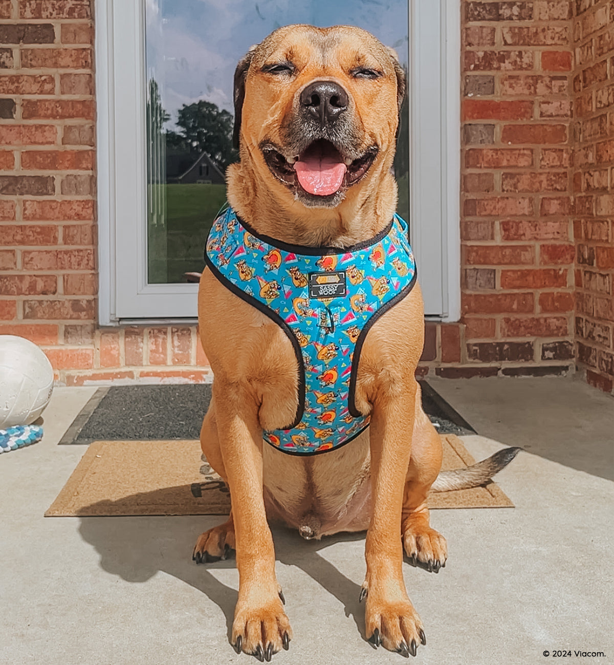 Dog Adjustable Harness - Nickelodeon CatDog™