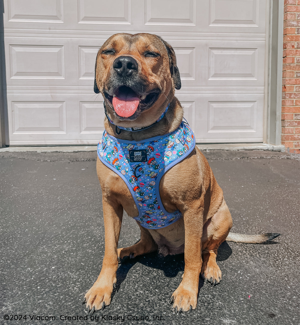 Dog Collar - Nickelodeon Rugrats™