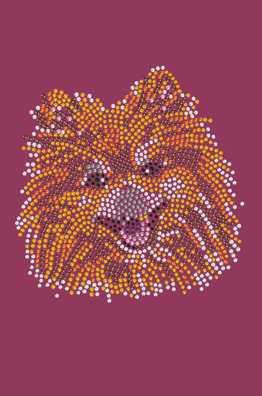 Pomeranian - bandana