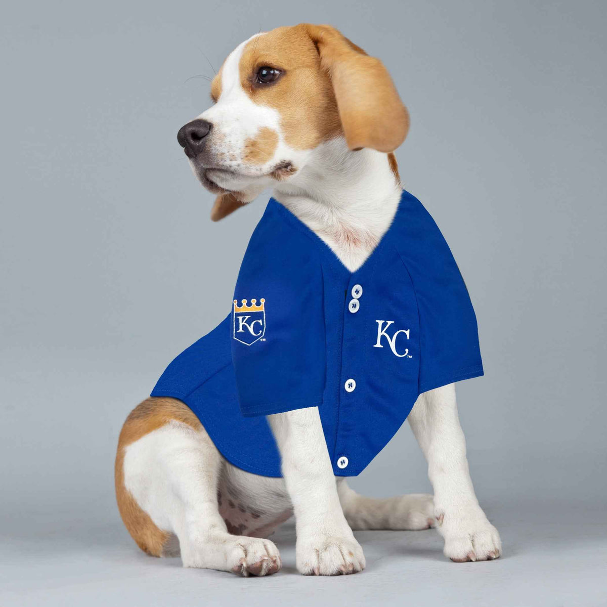 MLB Kansas City Royals Bobby Witt Jr. Mesh Pet Jersey