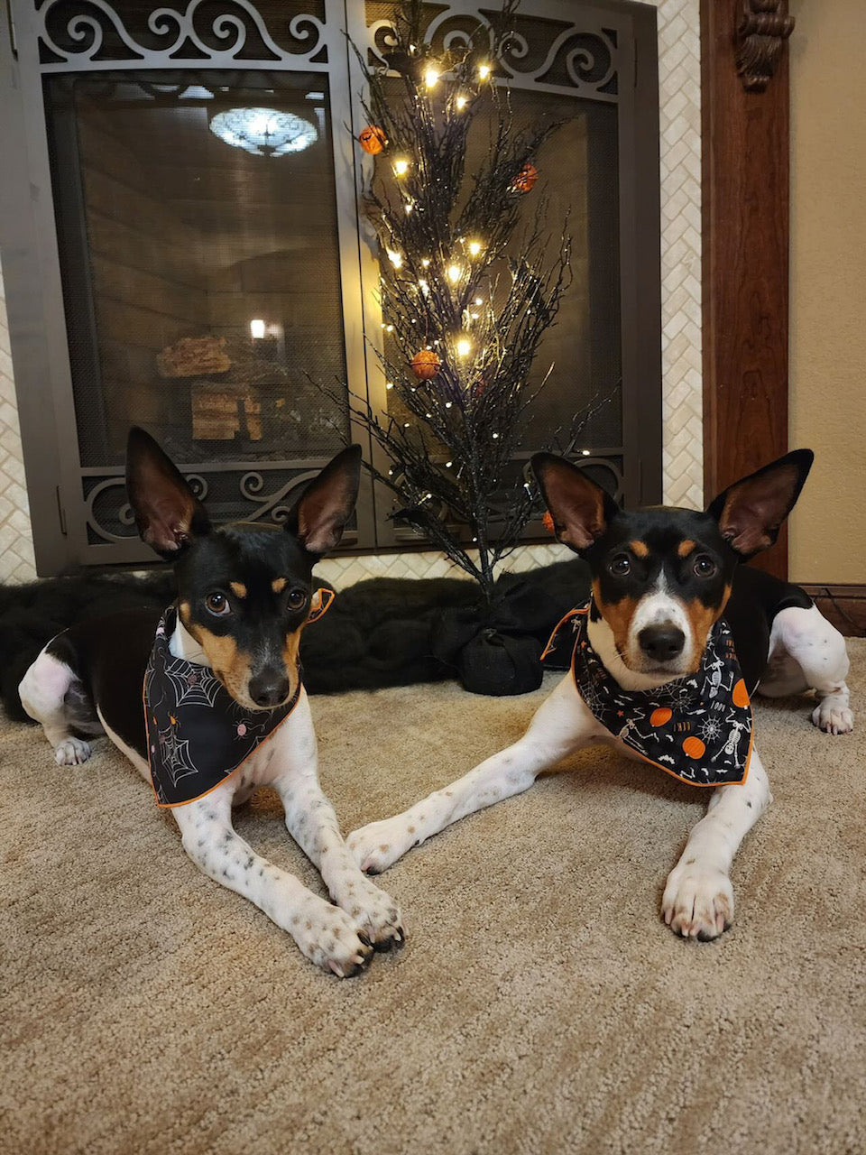Bad to the Bone
