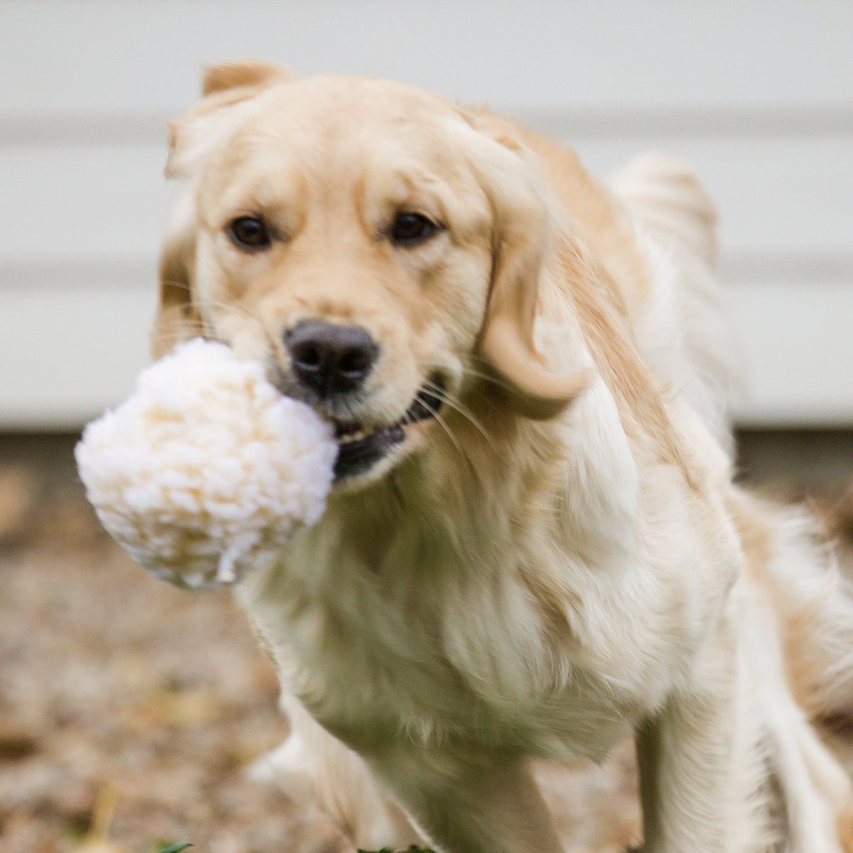 HuggleFleece Plush Ball Dog Toy