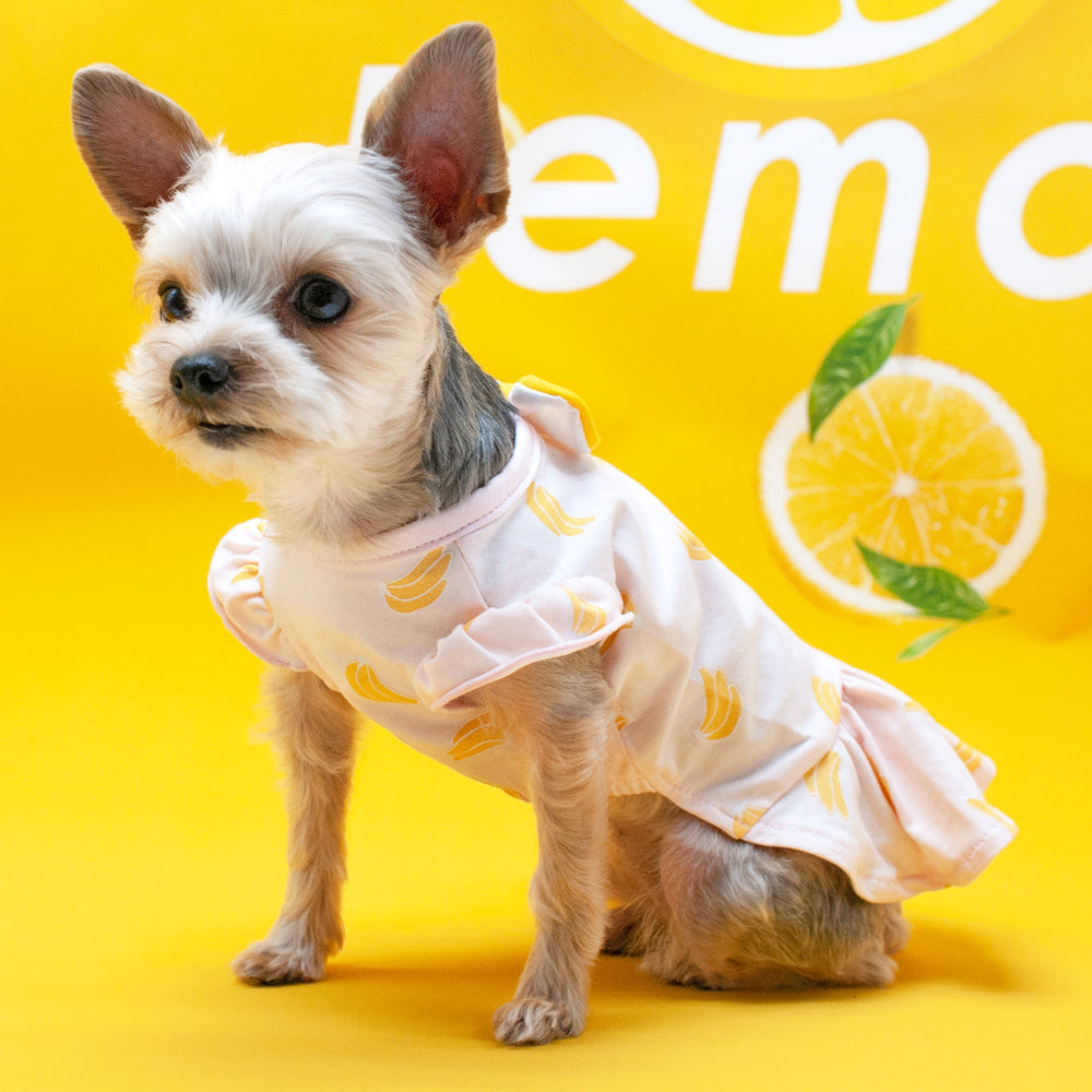 DOGO Banana Dog Dress