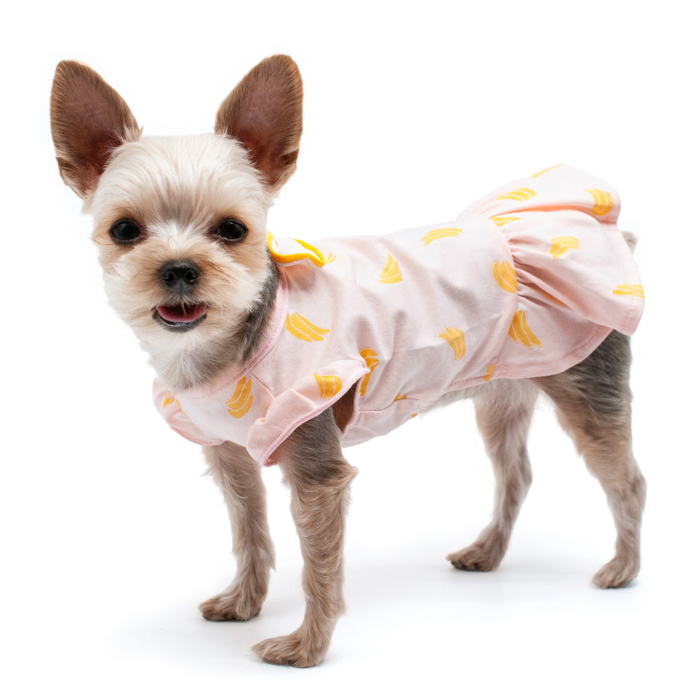 DOGO Banana Dog Dress