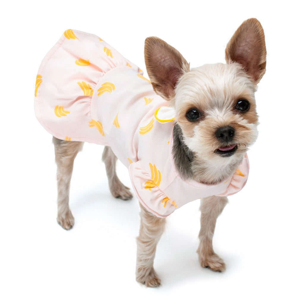 DOGO Banana Dog Dress