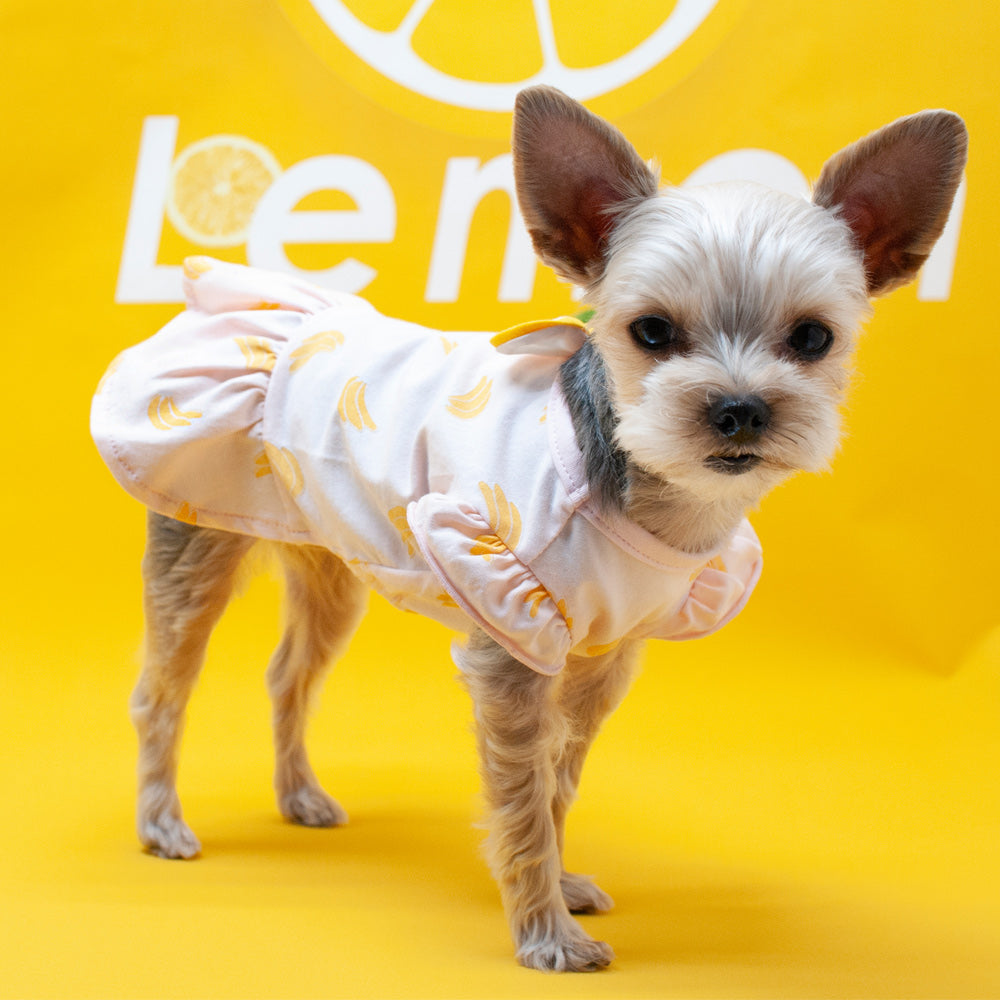 DOGO Banana Dog Dress