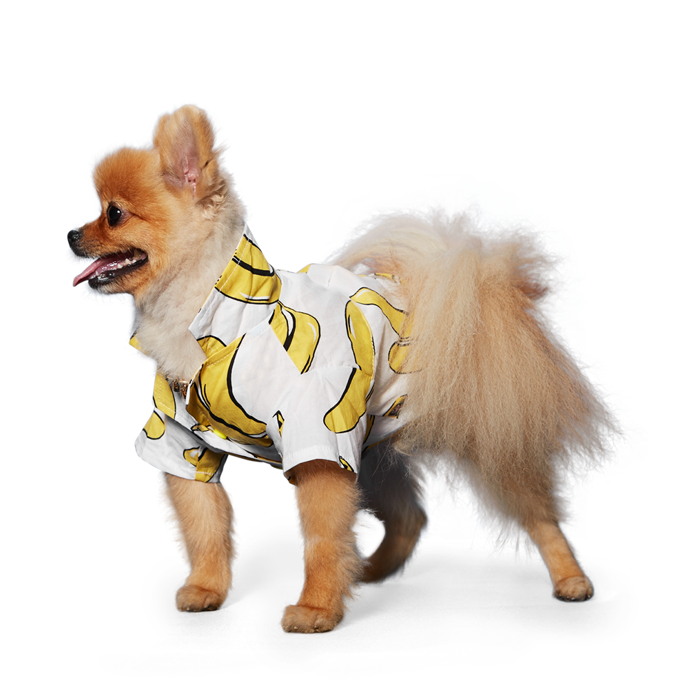 DOGO Banana Dog Shirt