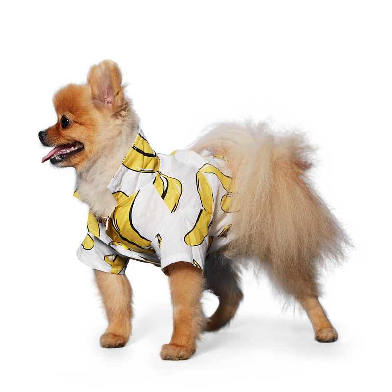Banana Shirt
