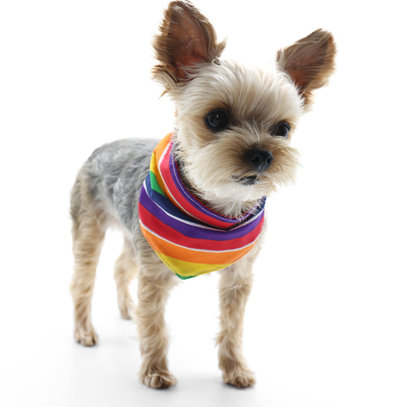 DOGO Rainbow Dog Bandana