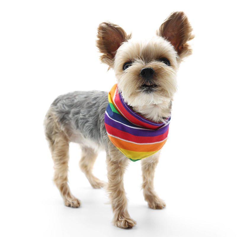 DOGO Rainbow Dog Bandana
