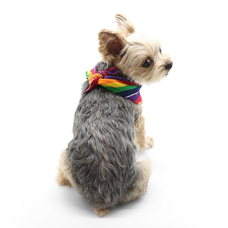 DOGO Rainbow Dog Bandana