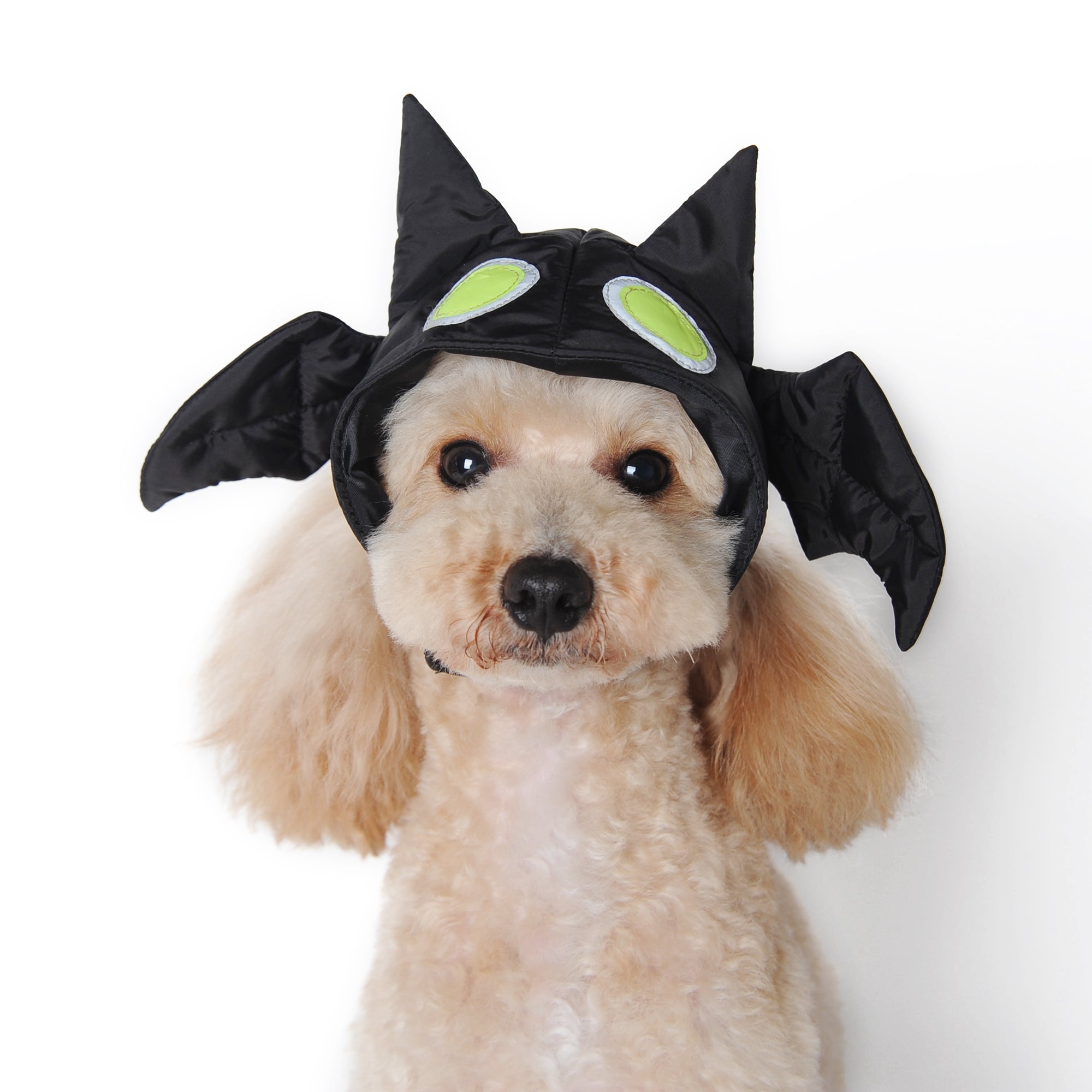 DOGO Bat Dog Costume Hat