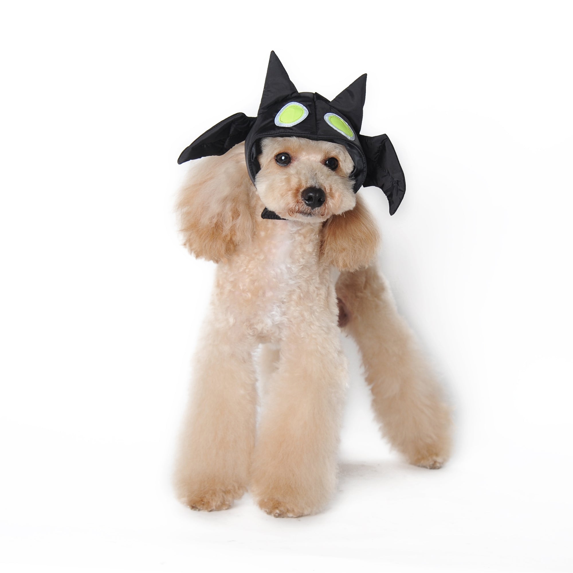 DOGO Bat Dog Costume Hat
