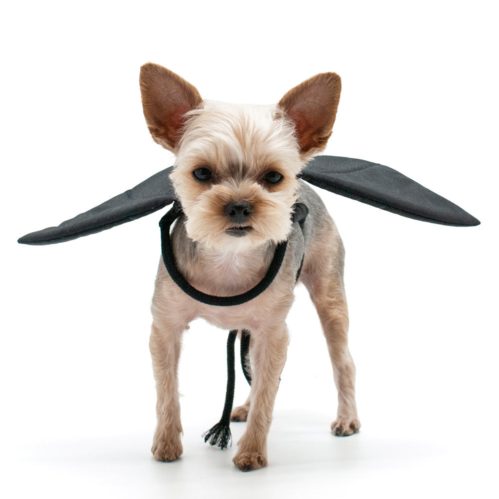 Bat Wing
