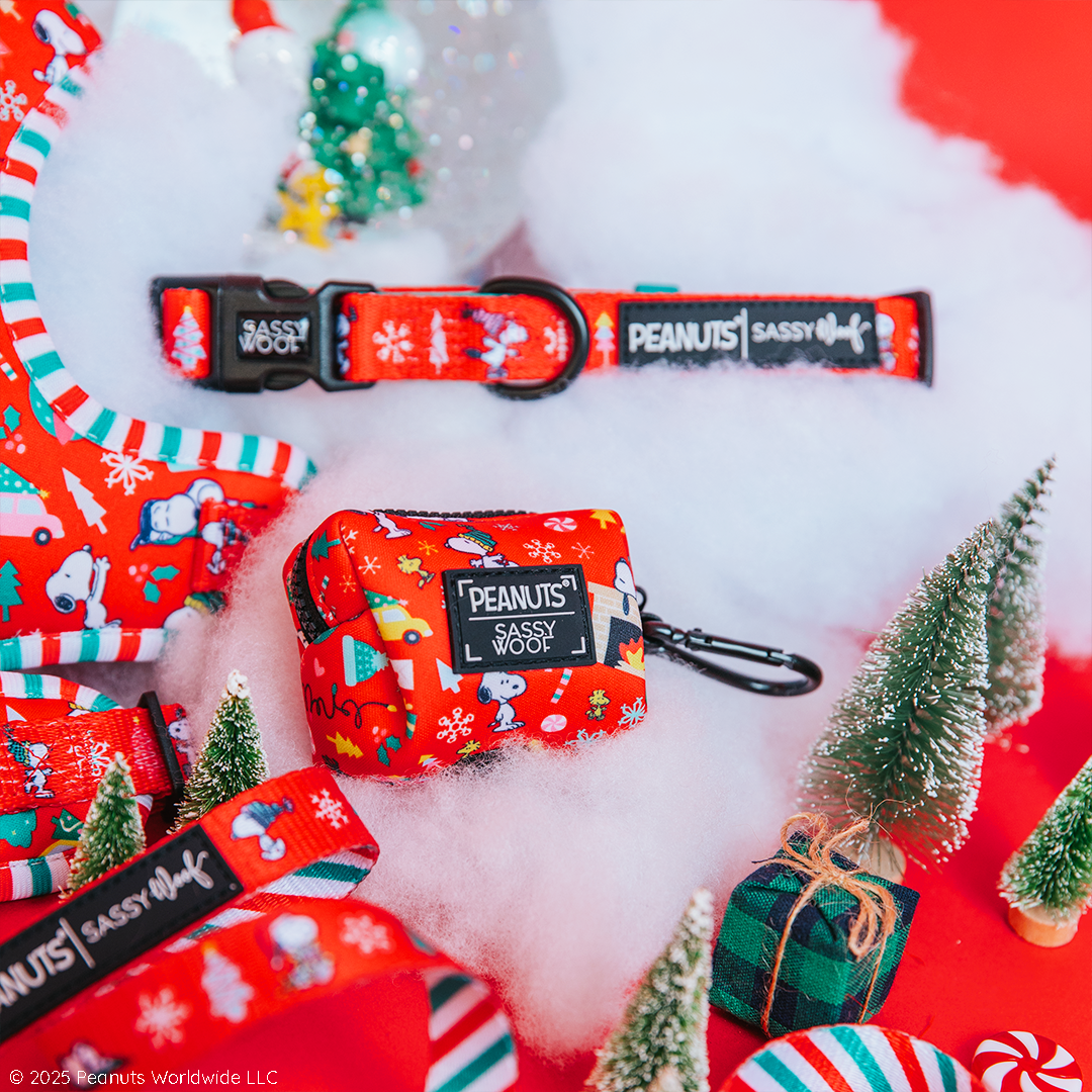 Dog Collar - Peanuts™ Beagle Bells