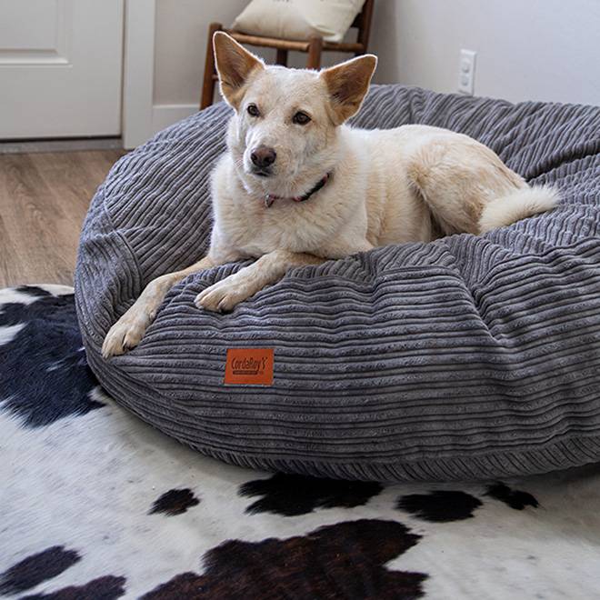 CordaRoys 40-Inch Waterproof Terry Corduroy Dog Bed