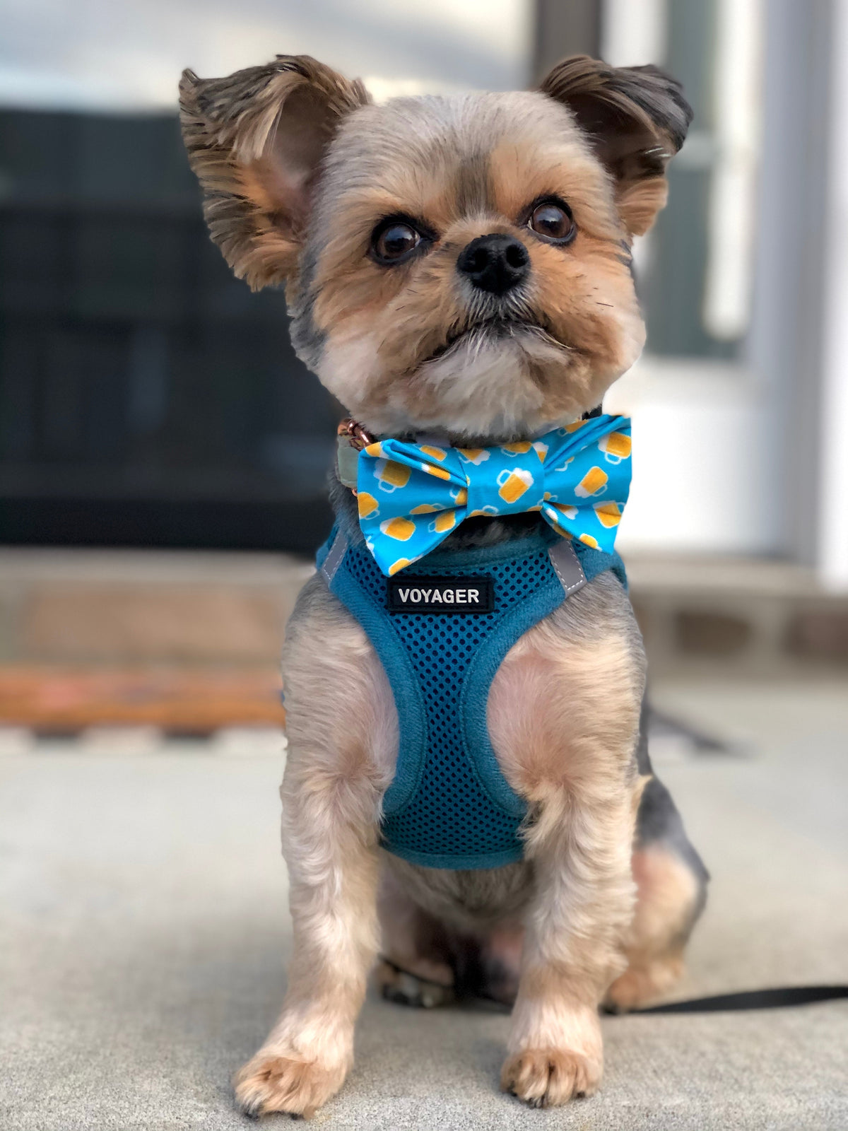 Beer Mug Bow Tie