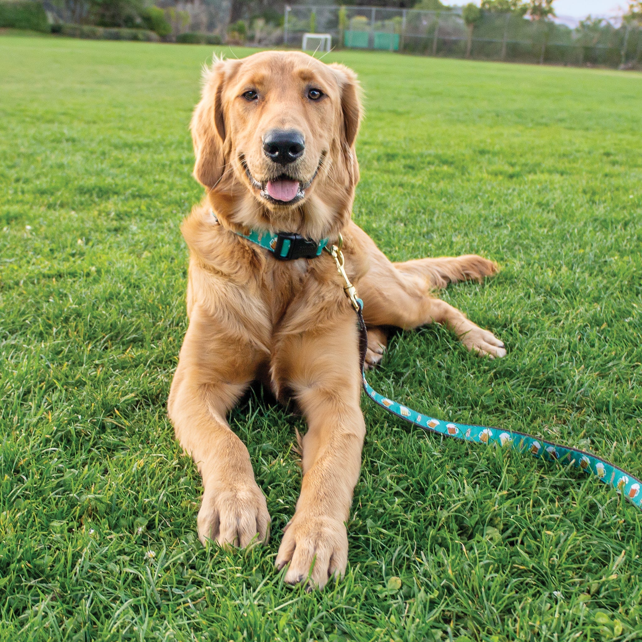 Beer Dog Lead