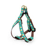 Up Country Beer Small Breed Dog Harness Made in USA