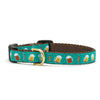 Up Country Beer Small Breed Dog Collar Made in USA
