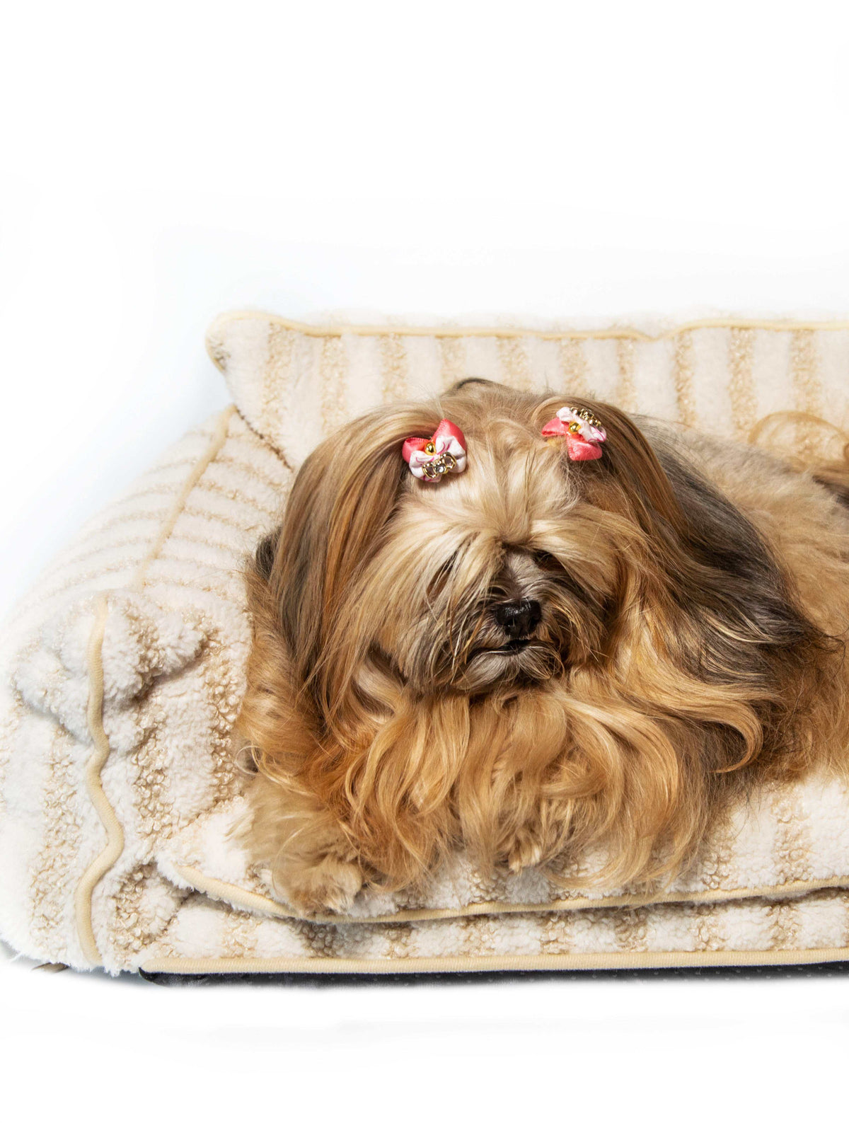 Glow Pups: Beige and Cream Striped Sofa Dog Bed