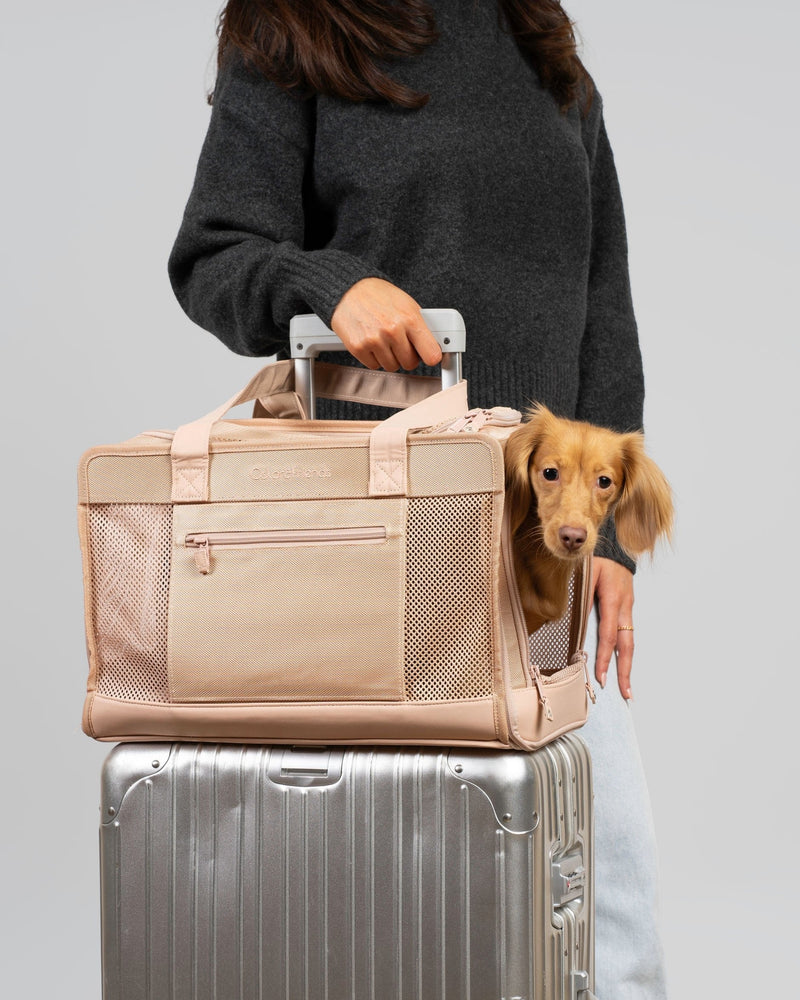 Beige Pet Travel Carrier - HT Animal Supply