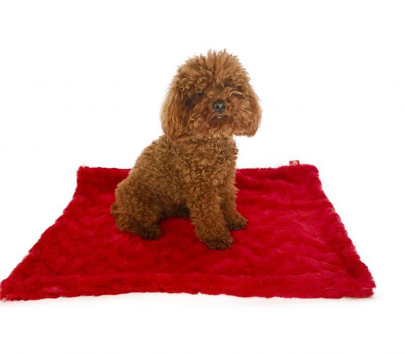 Blanket, Bella Red