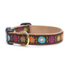 Up Country Bella Floral Cast Brass Dog Collar