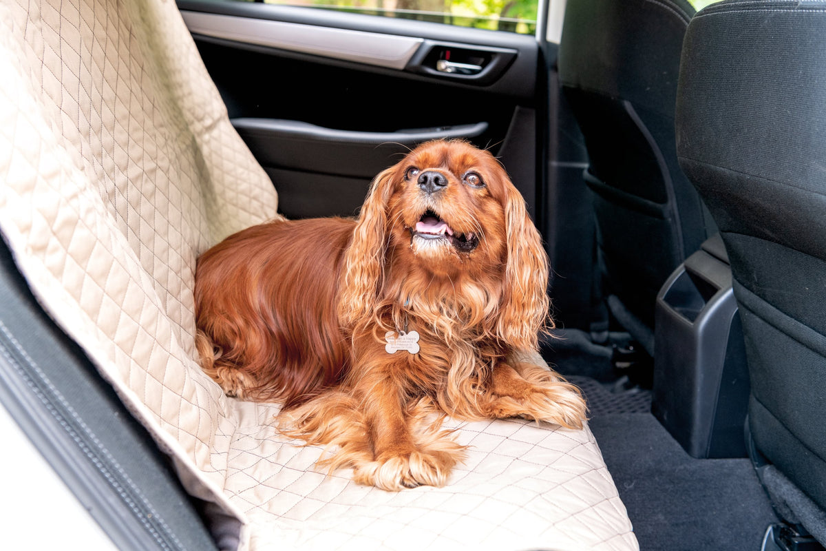 TuffutLuxx Vehicle Protectors for Travel