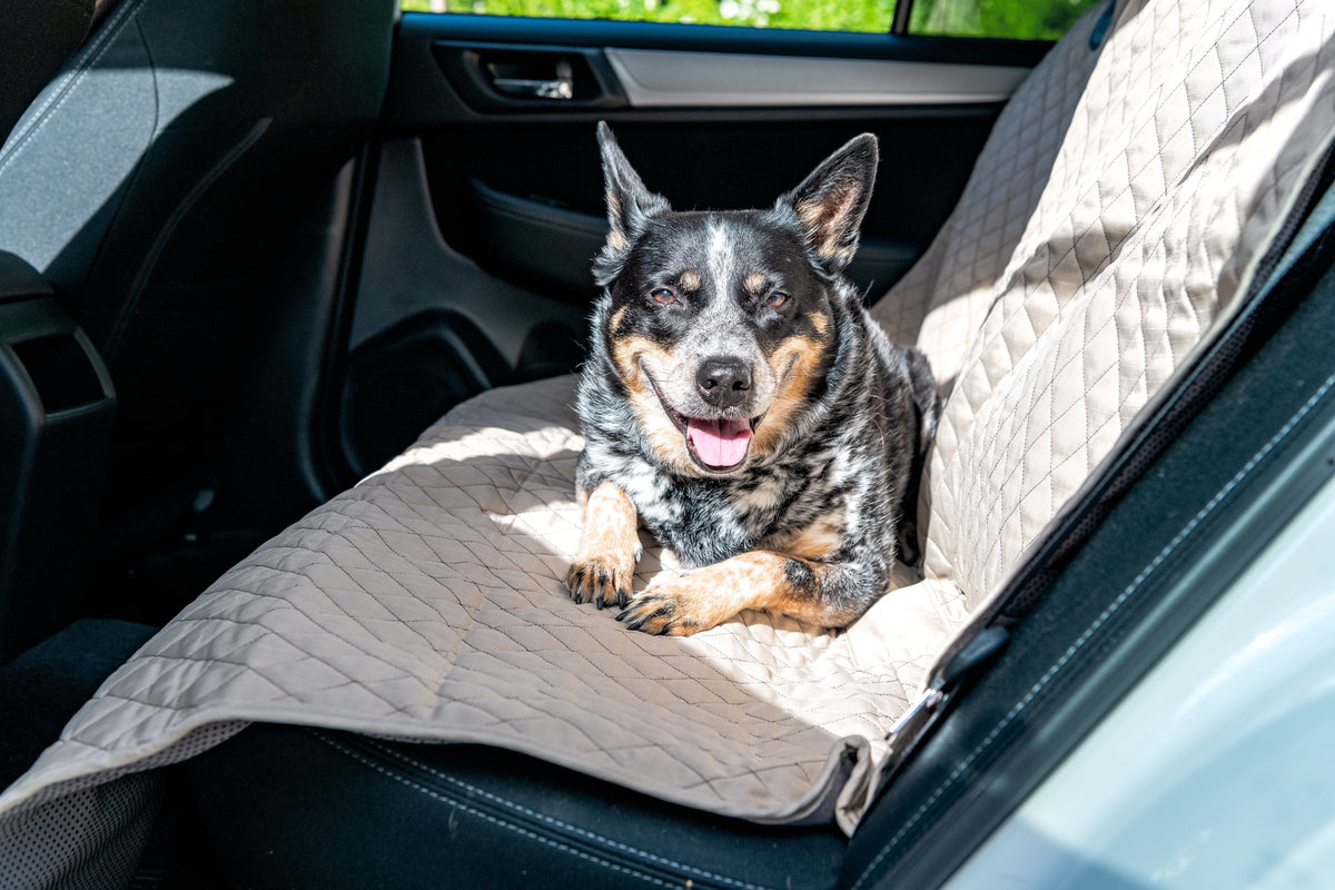 TuffutLuxx Vehicle Protectors for Travel