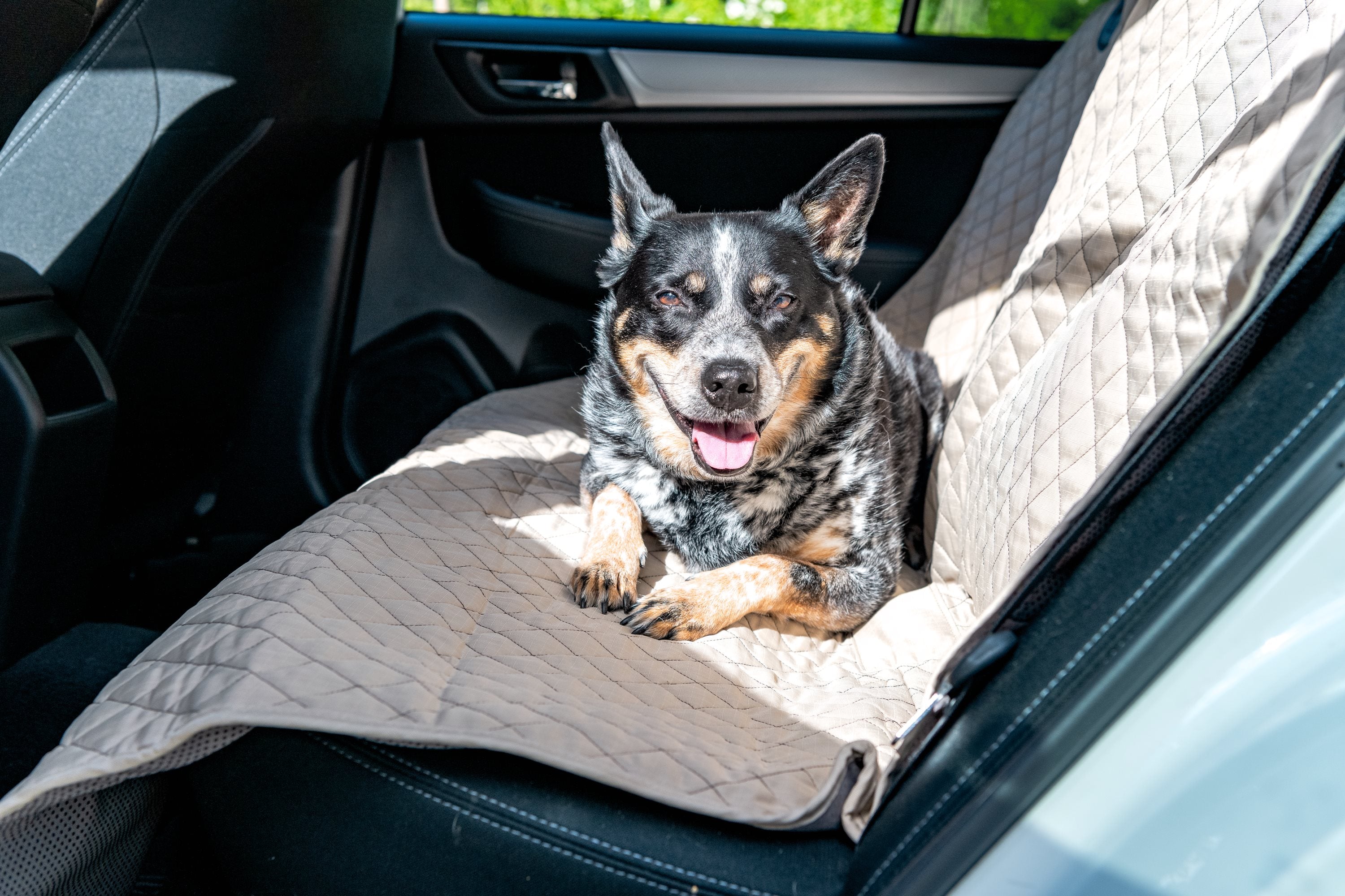 TuffutLuxx Vehicle Protectors for Travel
