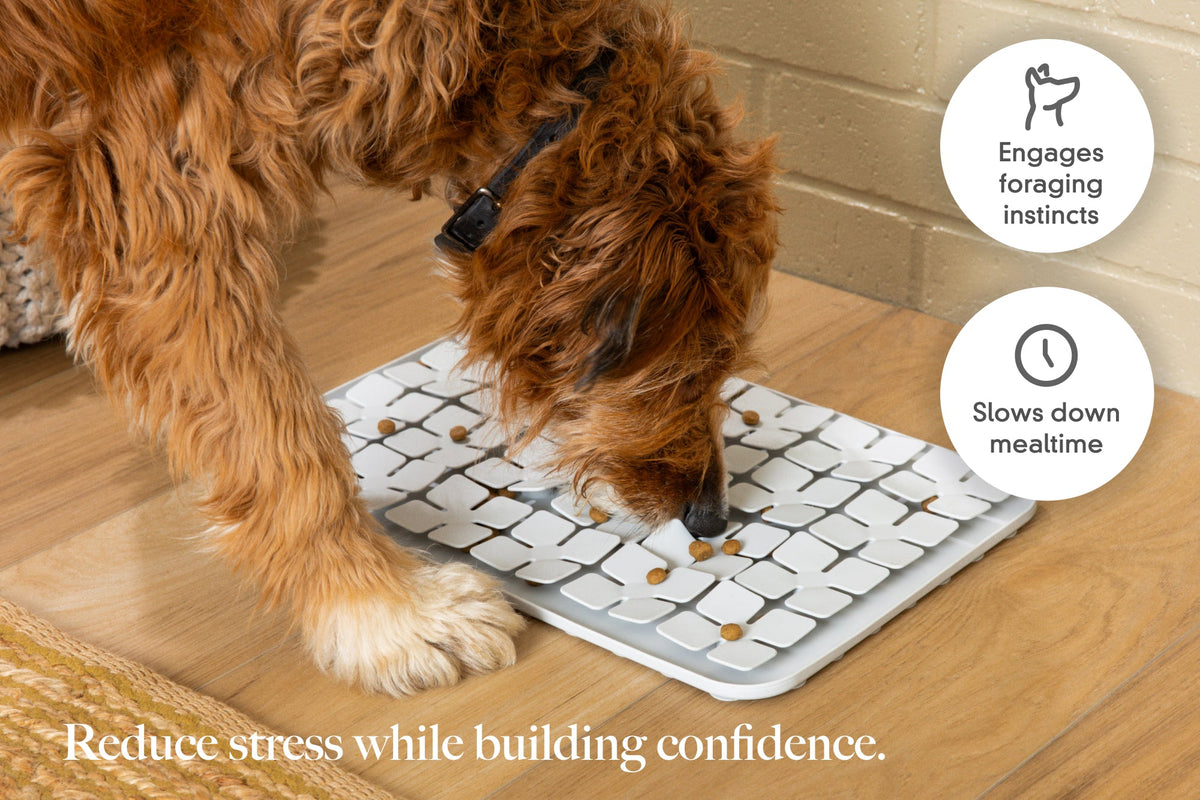 LAY LO Snuffle Mat - HT Animal Supply