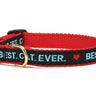 Best Cat Ever Cat Collar
