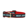 Up Country Best Dog Ever Cast Brass Dog Collar