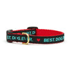 Up Country Best Dog Ever Small Breed Dog Collar Made in USA
