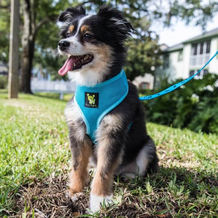EcoBark Sky Blue Dog Harness - Over-the-Head Soft Mesh Dog Vest Halter for Small to Medium Dogs and Puppies