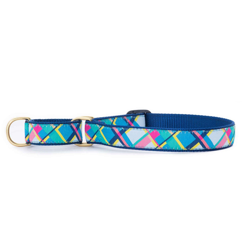 Up Country Best in Plaid Martingale Dog Collar