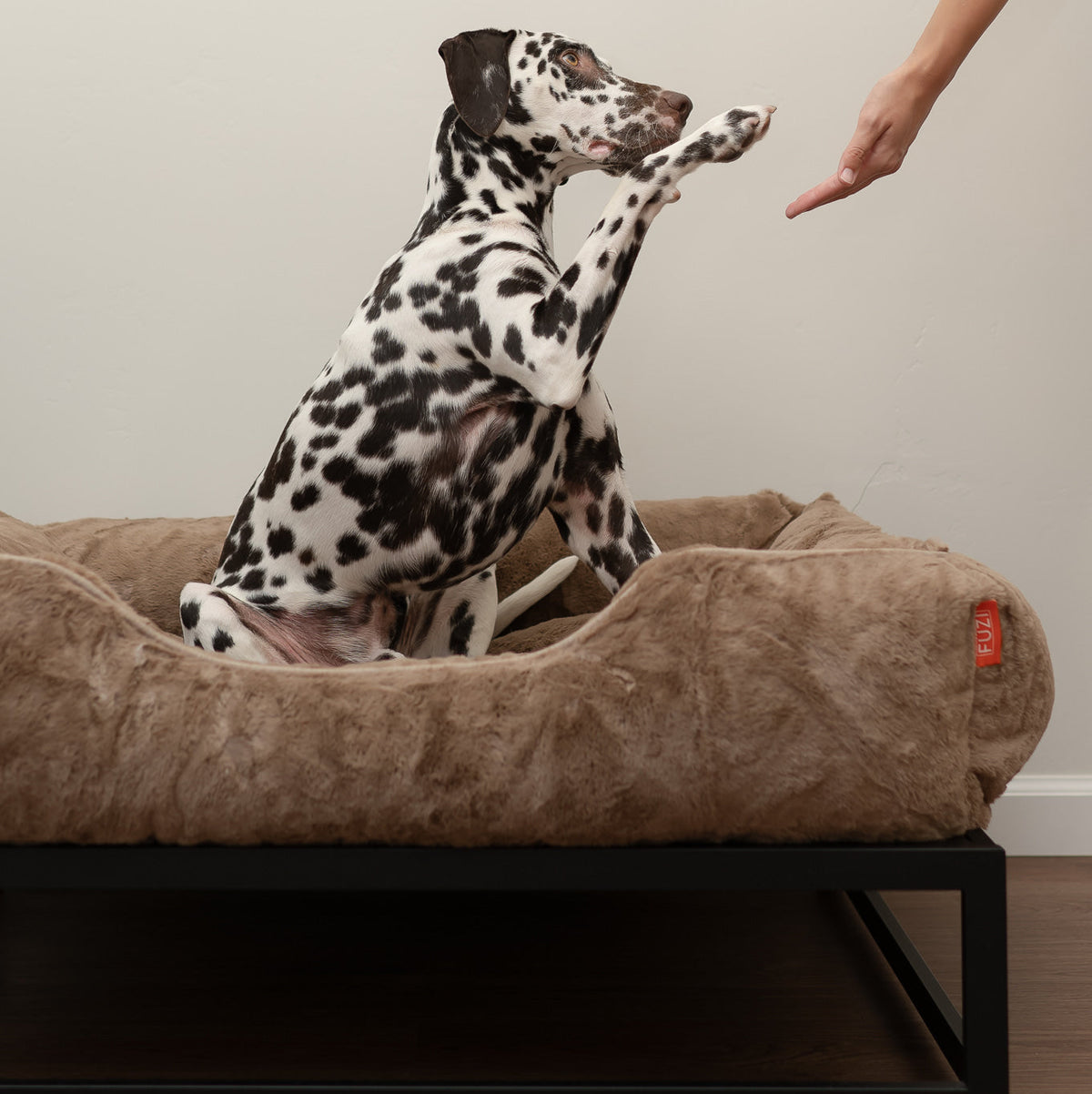 The FUZI Elevated Dog Bed