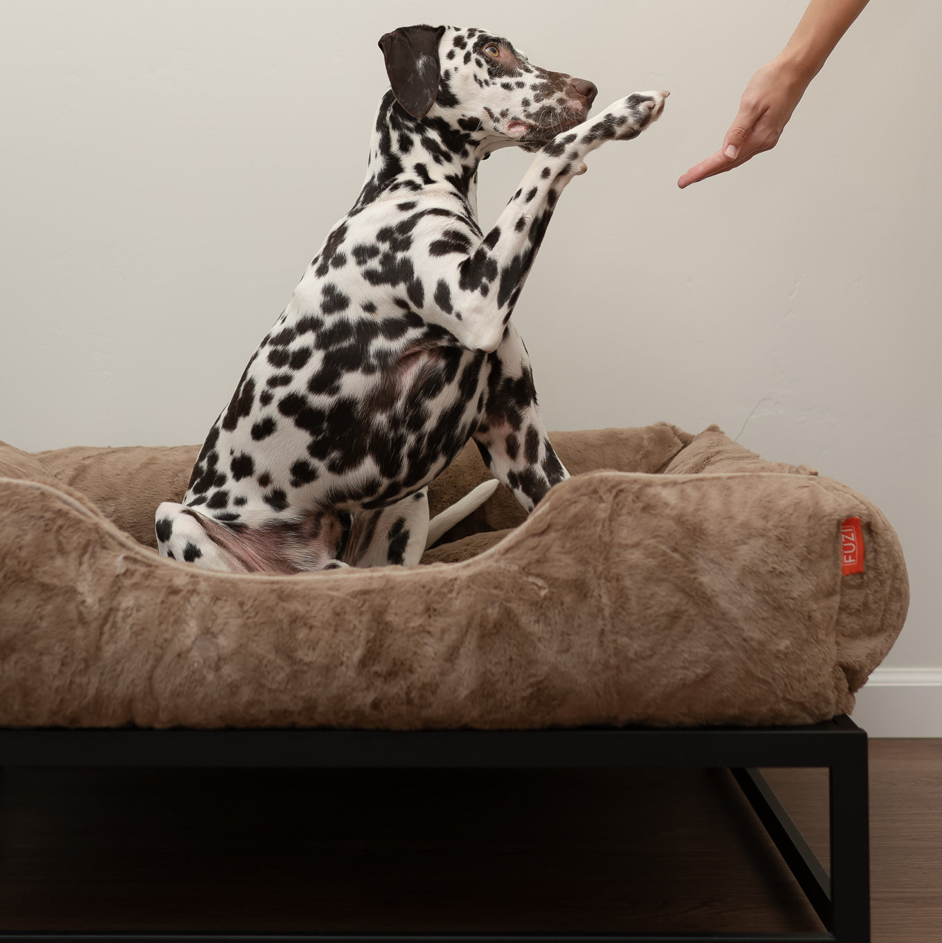 The FUZI Elevated Dog Bed