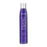 Artero Big Bang Volumizing Texturizing Spray