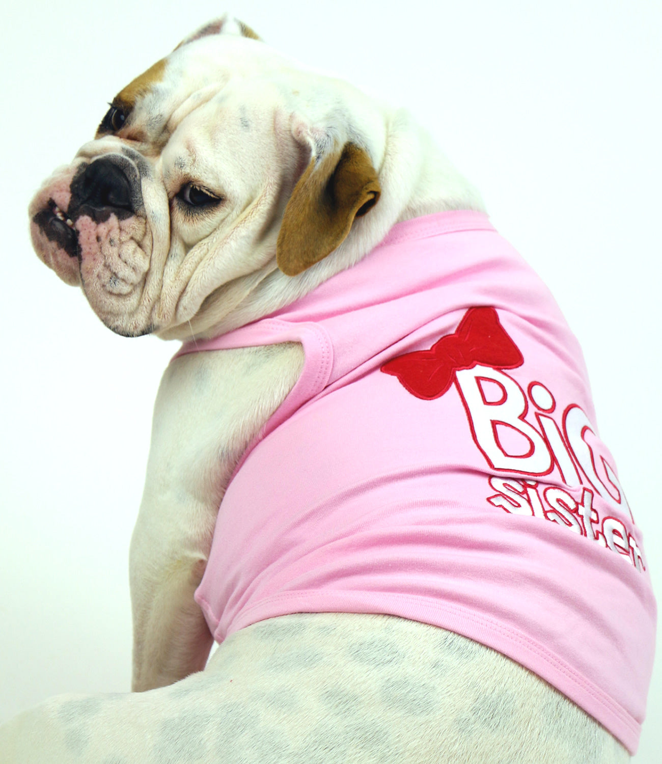Parisian Pet Big Sister Trendy Dog Apparel  Breathable Embroidered Pet Wear for Dogs & Cats, Pink